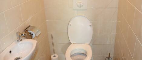 A small bathroom with a toilet, sink, and toilet paper holder.