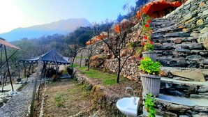 A rustic outdoor setting with a stone staircase, a small garden with potted plants, and a traditional thatched-roof structure. - Ronak Happy Stay River Side Camping (Balichauki)