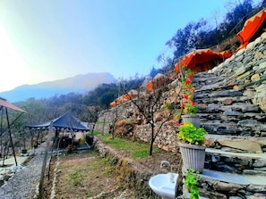 Imagem sem classificação, 3 de 23, botão