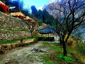 Ảnh chưa phân loại, 3 trong số 22 ảnh, nút