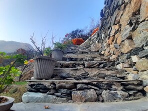Property grounds - Ronak Happy Stay River Side Camping (Balichauki)