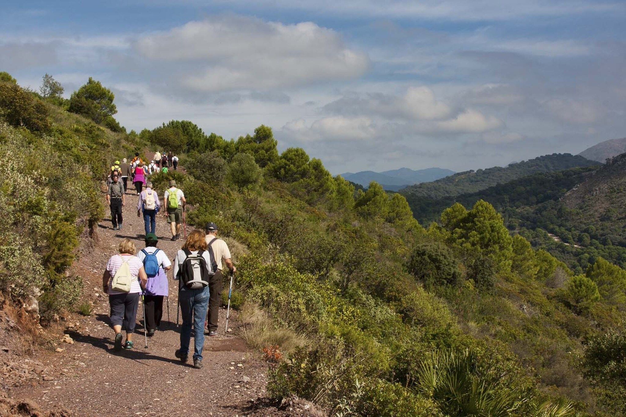 A group of hikers on a dirt path surrounded by greenery and hills.