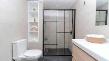 Shower, free toiletries, hair dryer, bidet