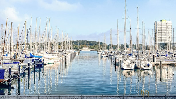 Un puerto deportivo con numerosos barcos amarrados a lo largo de un muelle de madera.