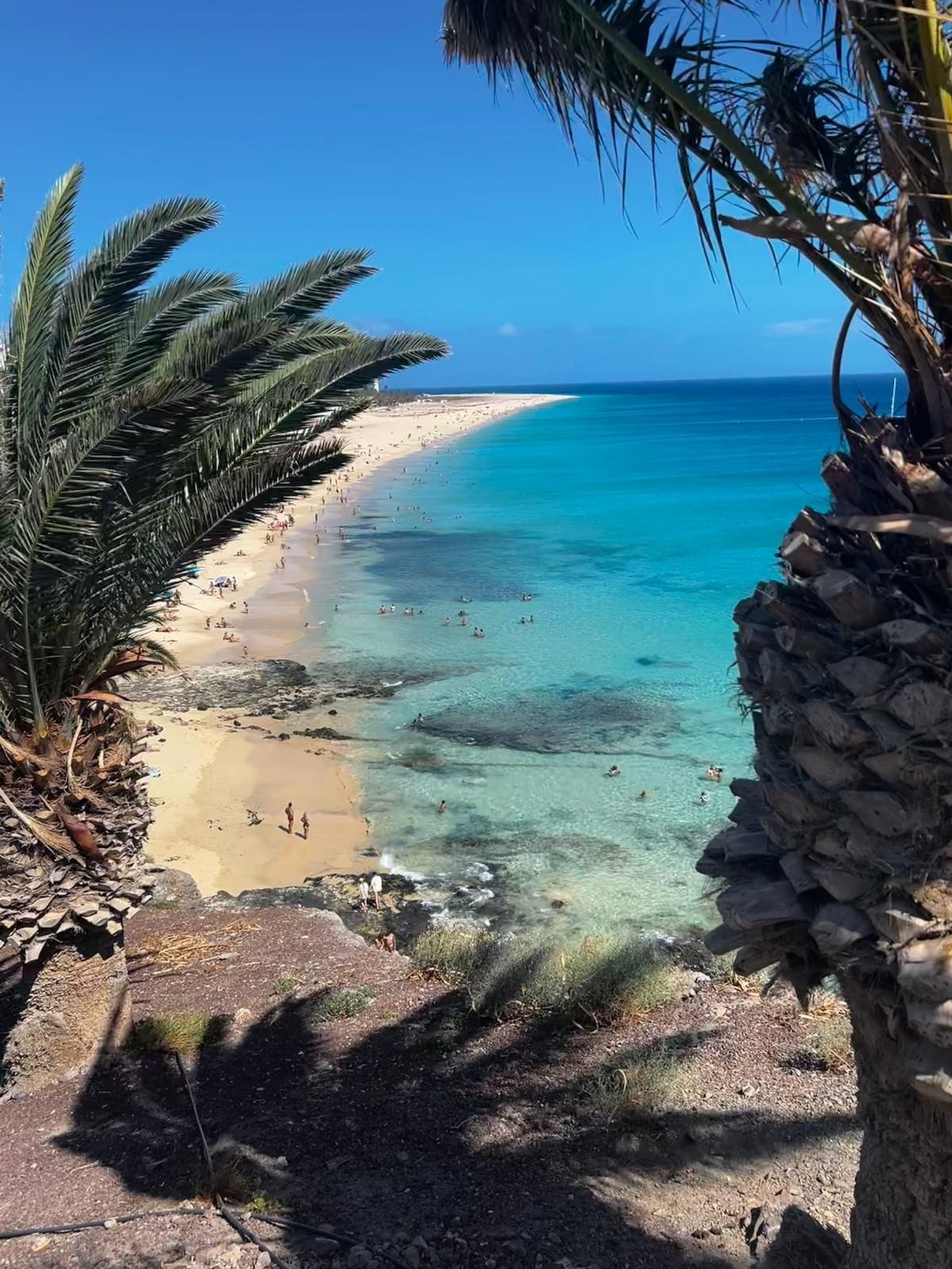 A beach with clear turquoise water, sandy shore, and palm trees.