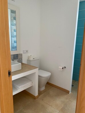 Ducha, secador de pelo, toallas y papel higiénico