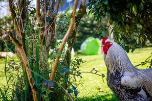 Botó d’imatge sense classificar, 5 de 30