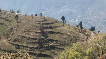 City view from property