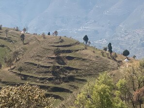 City view from property - Shanti Kunj Home Stay (Pauri)