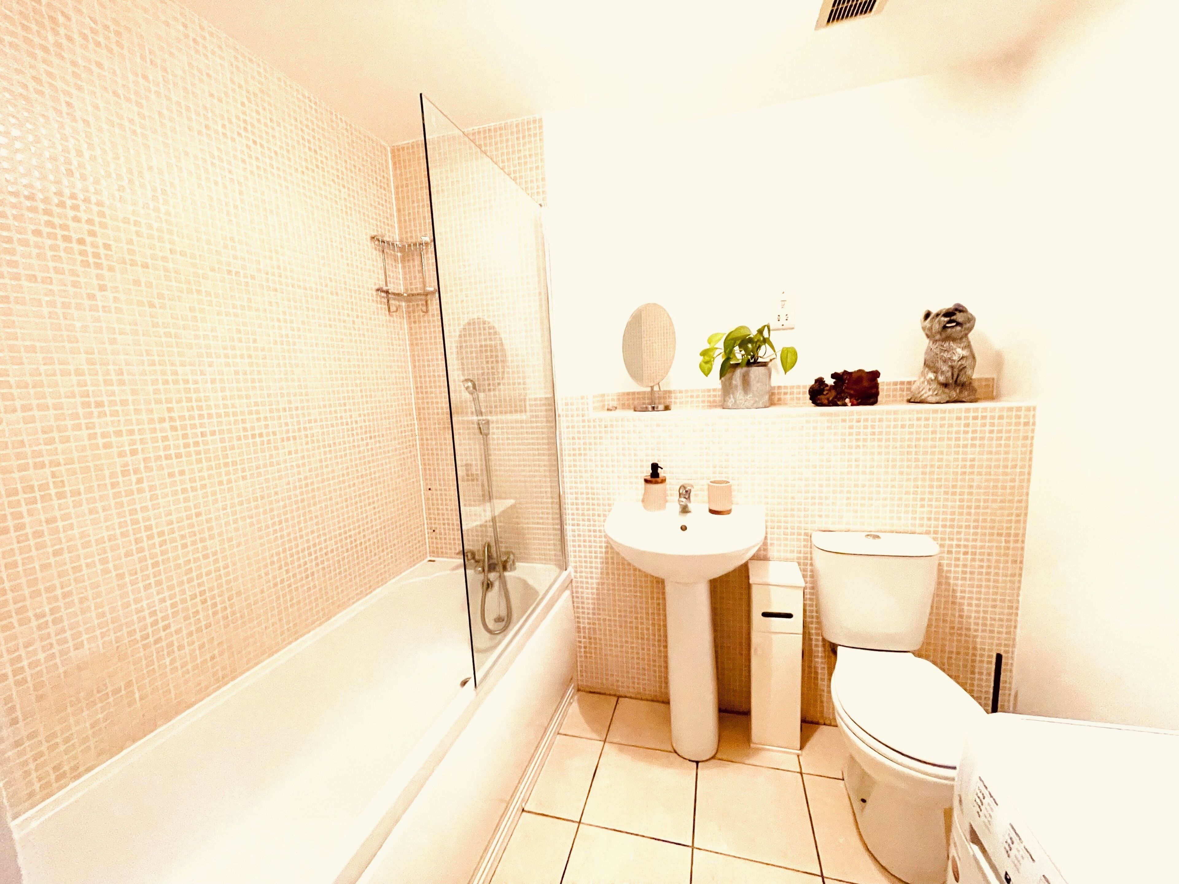 Shower, bidet, towels, soap