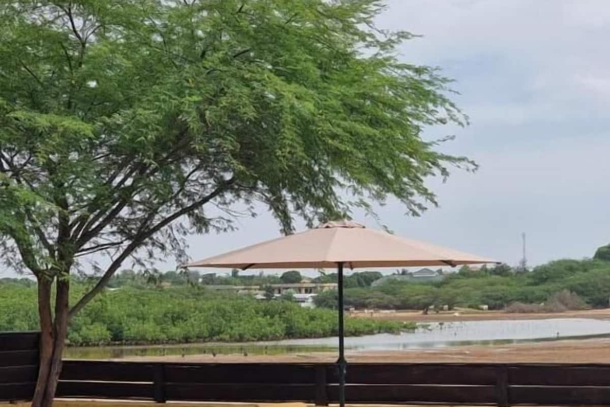 A pool area with two lounge chairs and a single umbrella, surrounded by a low wall and a tree.