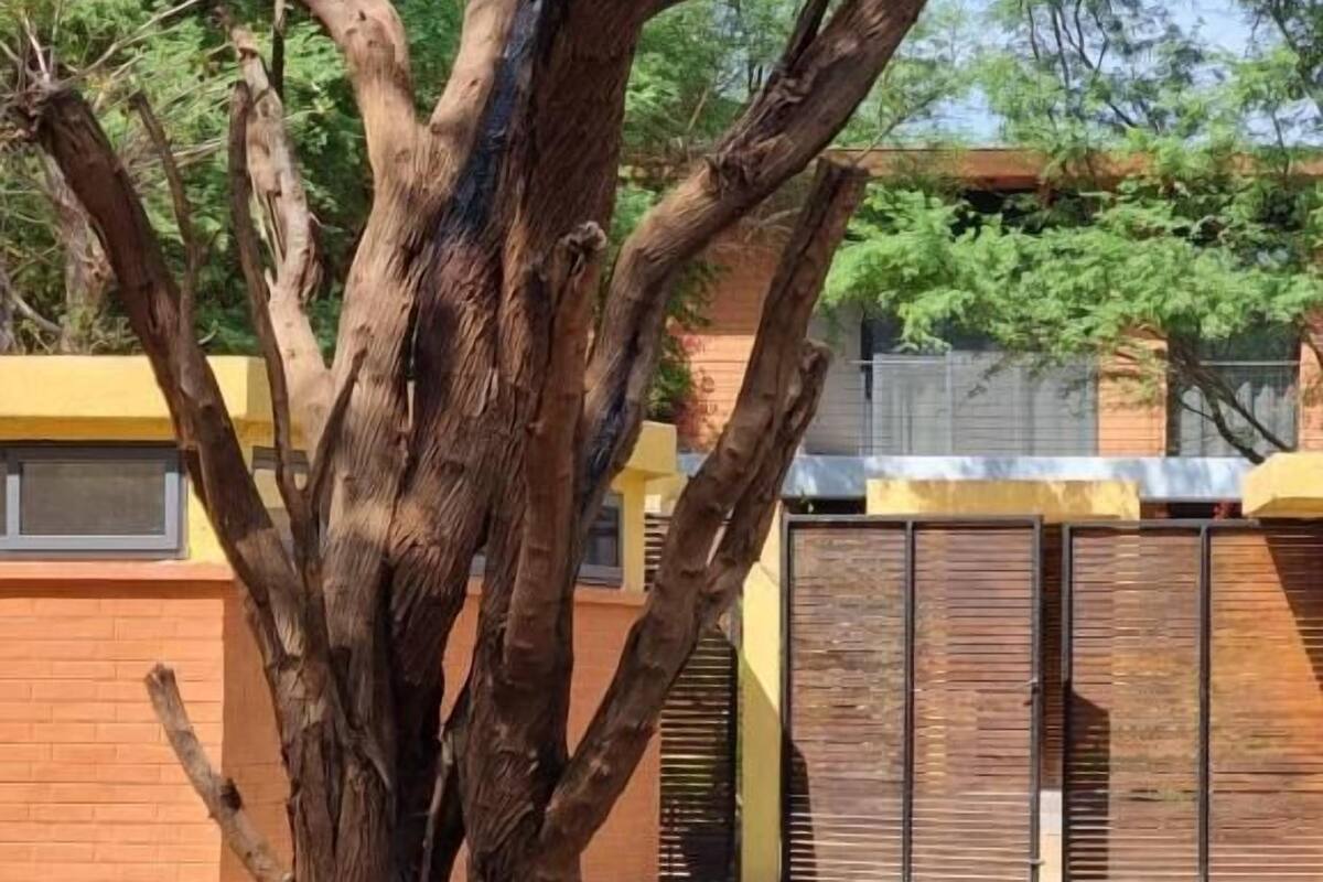 Superior Double Room, Bay View