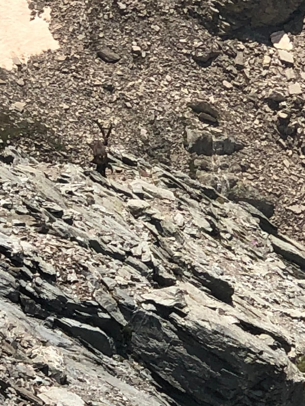Un terrain rocheux, accidenté et parsemé de rochers.
