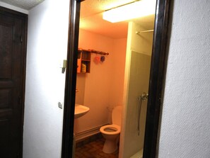 Shower, towels, toilet paper - Family studio facing the forest at the start of hiking and cross-country skiing trails (Molines en Queyras)