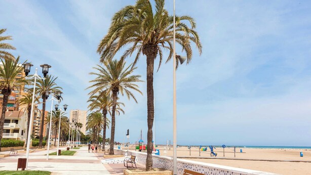Een kustpromenade met palmbomen, bankjes en een strand op de achtergrond.