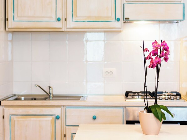 Réfrigérateur, four, batterie de cuisine, vaisselle et ustensiles