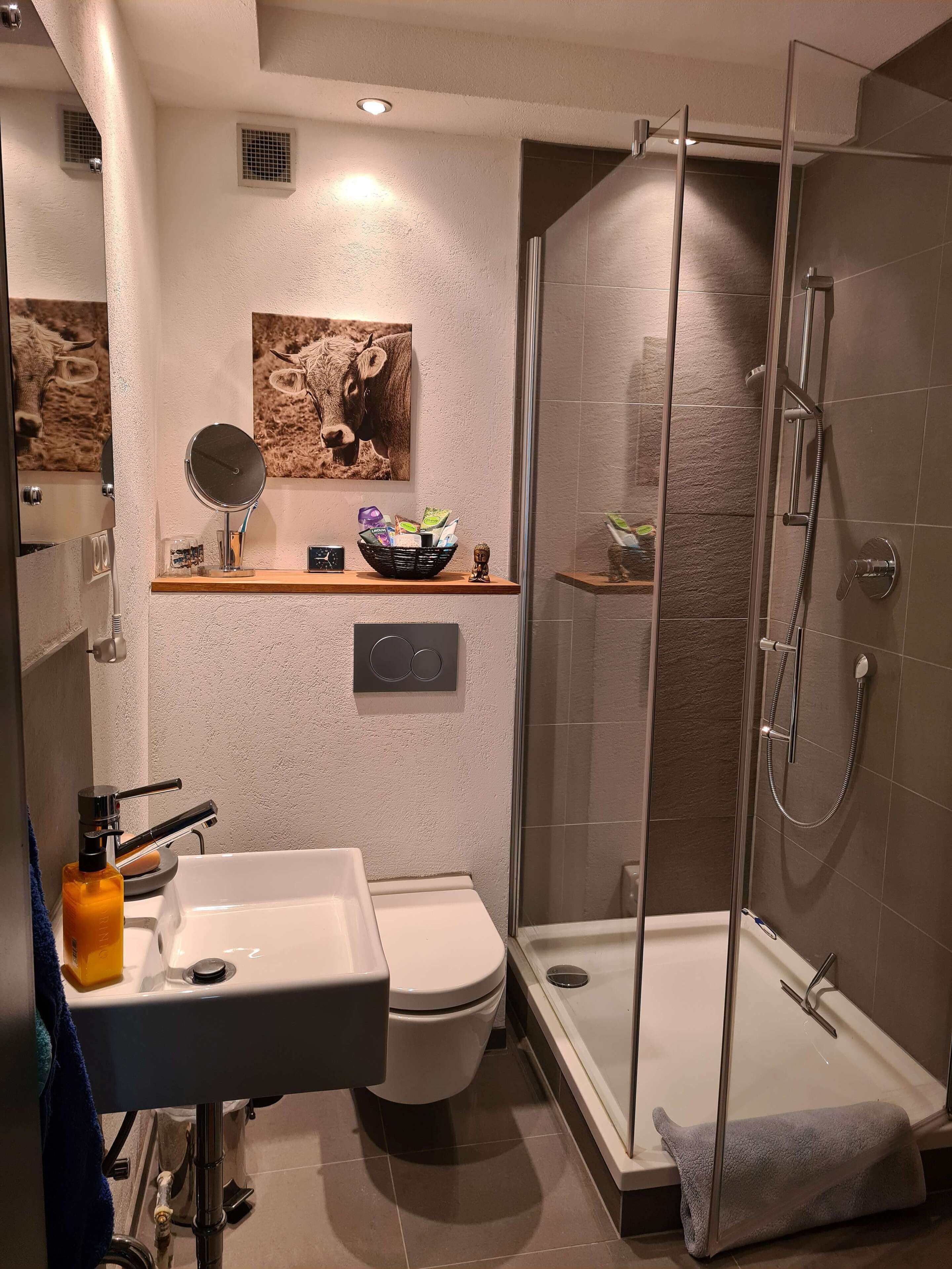 Shower, hair dryer, soap, toilet paper
