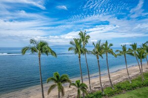 A beach with palm trees and ocean. - NEW LISTING: Lahaina Shores 513 – Oceanfront Views (Lahaina)