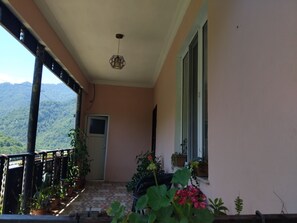 Un balcon agrémenté de plantes en pot, une porte et une vue sur un paysage montagneux.
