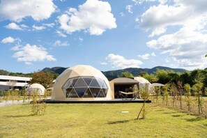 Imagen sin descripción, 2 de 23, botón