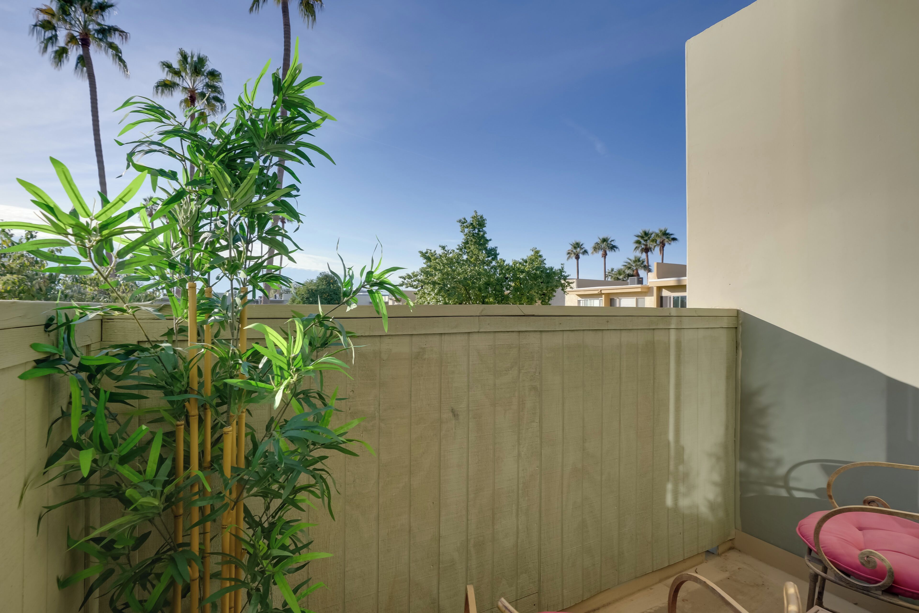 Un balcón con una planta de bambú, una silla rosa y vistas a palmeras y edificios.