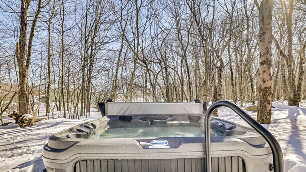 Una vasca idromassaggio immersa in una foresta innevata.