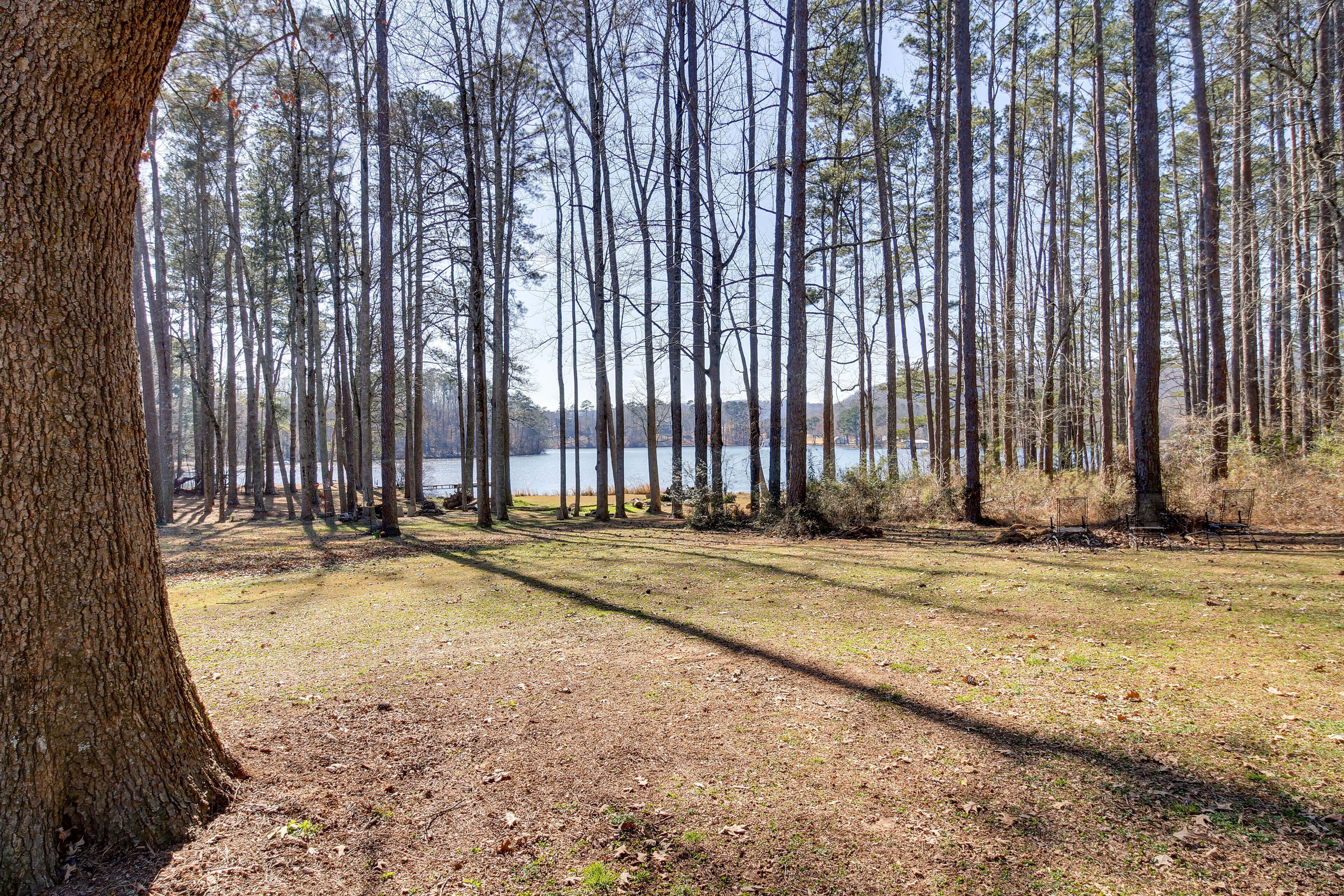 A forested area with a lake in the background.