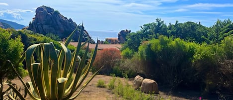 A patio with a view of a rocky coastline, a large agave plant, and a table with chairs.