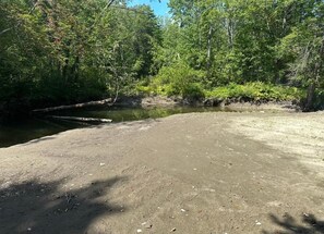 Immagine non classificata, 5 di 17, pulsante