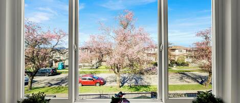Un ventanal grande con vistas a una zona residencial, con casas y coches estacionados.