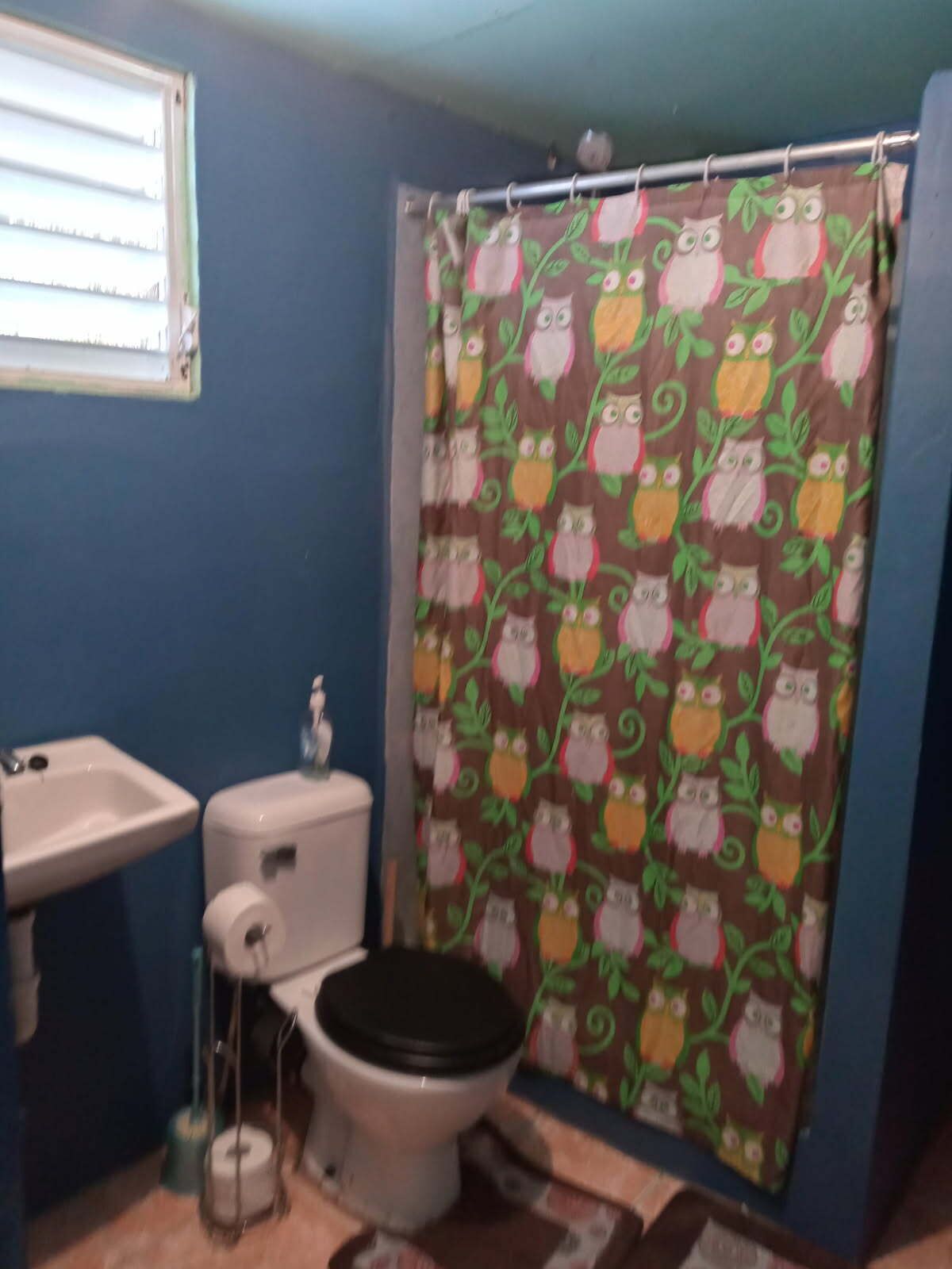 Regadera, toallas, papel de baño 