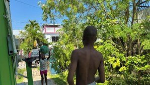 Un enfant marche sur un chemin de béton, bordé de chaque côté par de la verdure.