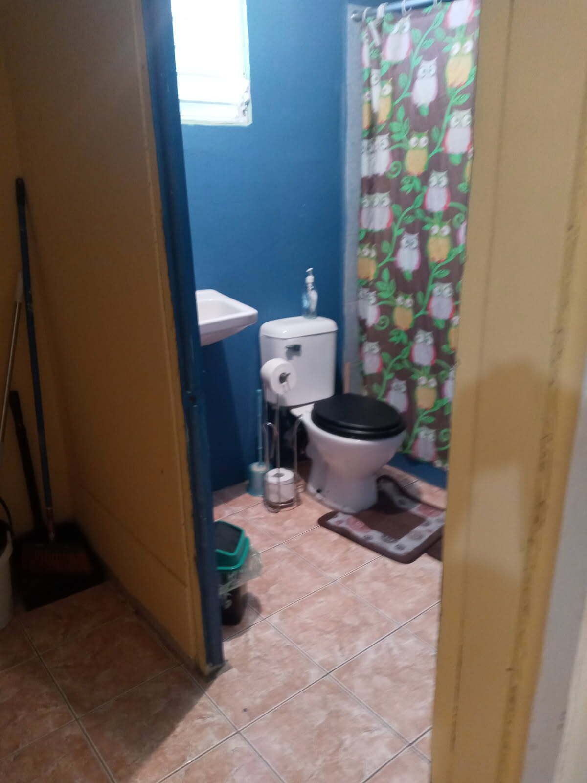 淋浴设施、毛巾、卫生纸