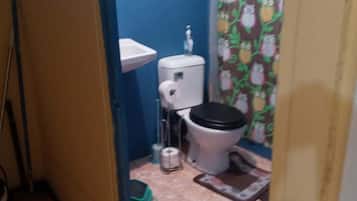 Een douche, handdoeken, toiletpapier