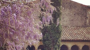 Ein Innenhof mit einem Gebäude, das Bögen und einen Baum mit violetten Blüten zeigt.