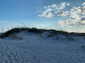 Une plage de sable avec des dunes et une végétation clairsemée.