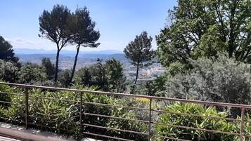 House | View from property