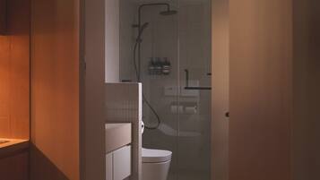 Shower, hair dryer, bidet, towels