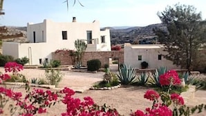 Ein modernes Gebäude mit flachem Dach und einem Garten mit rosa Blumen und Kakteen.