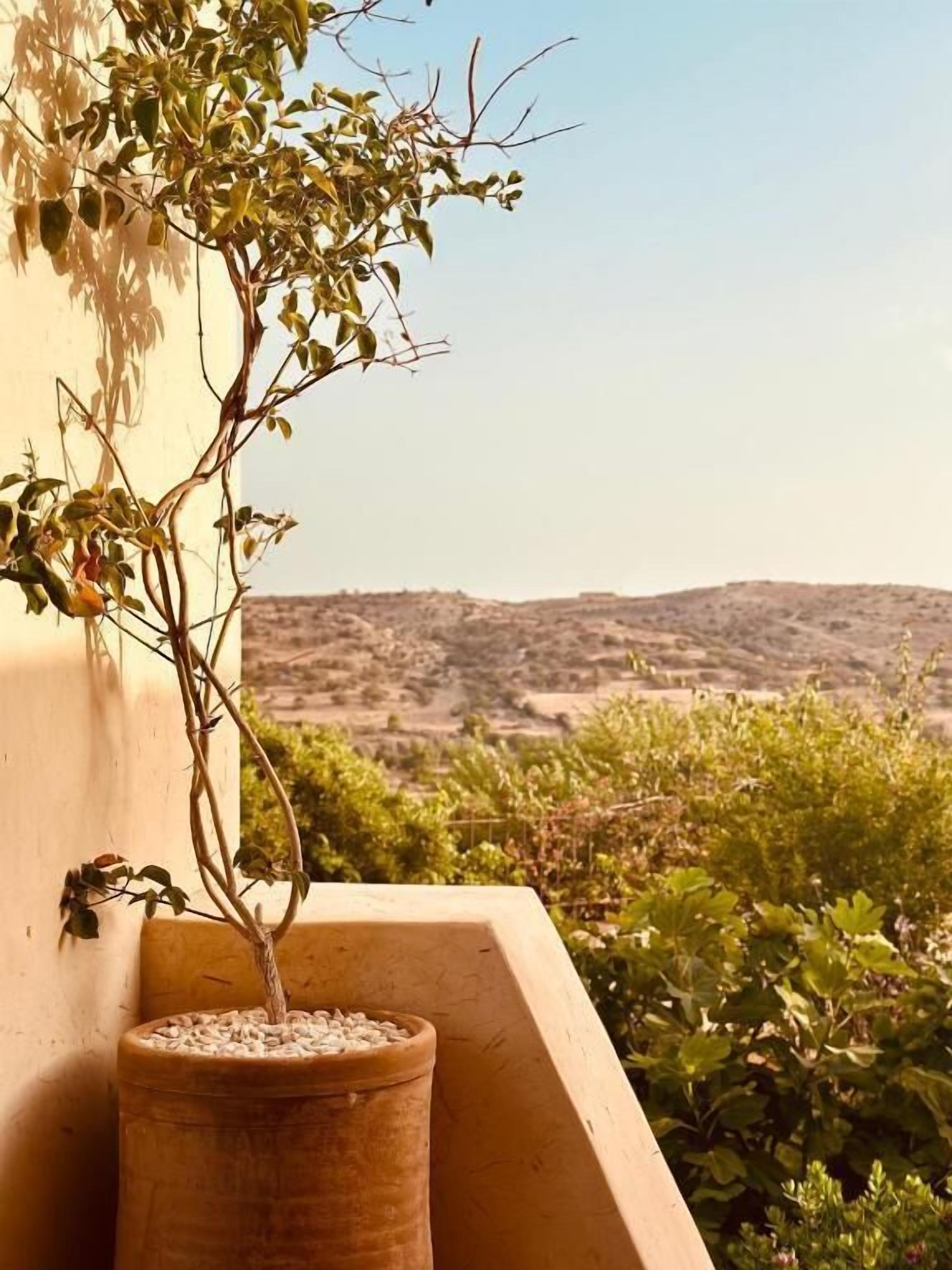 Ein Blumentopf auf einem Balkon mit Blick auf eine hügelige Landschaft.
