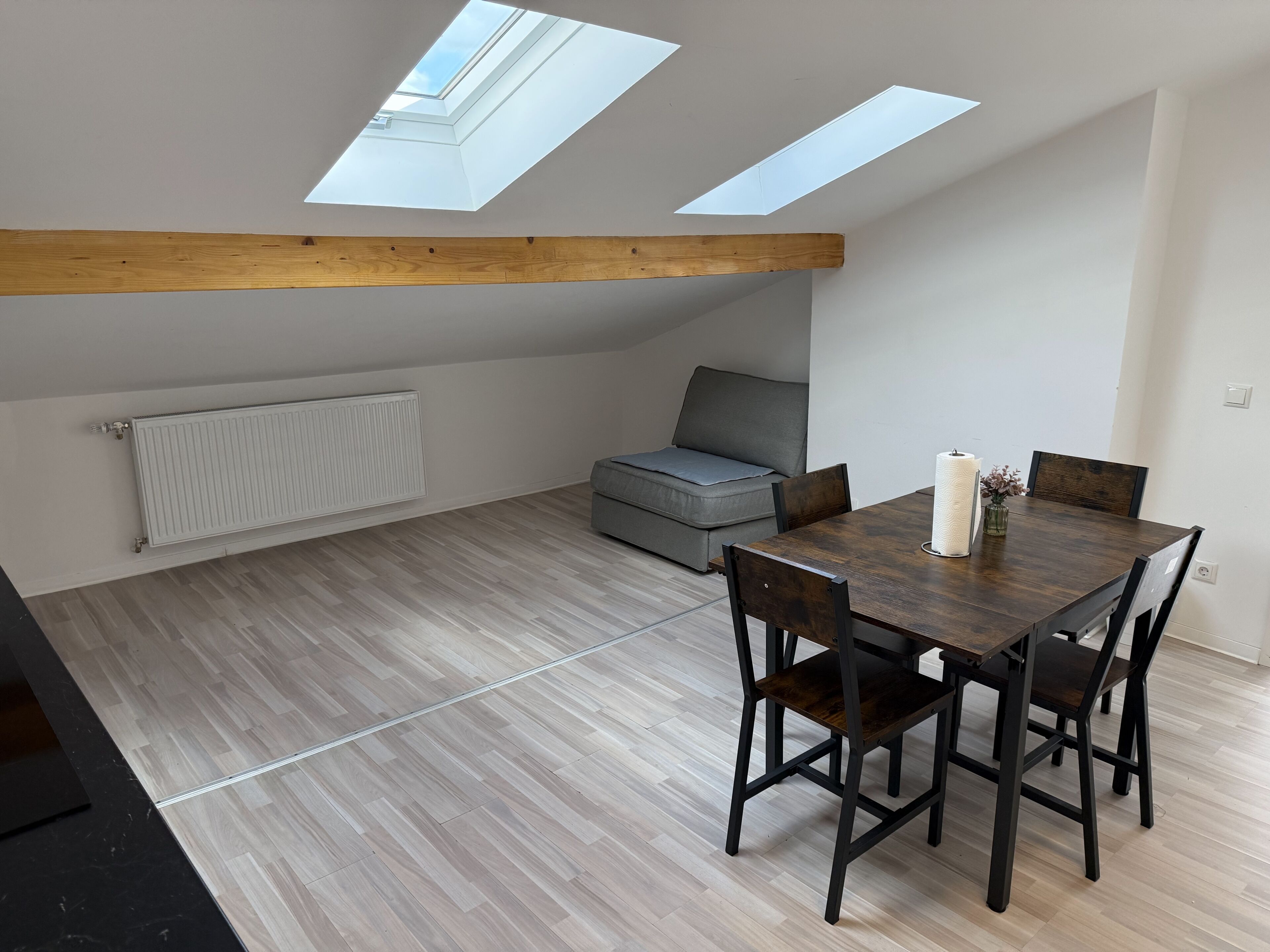 A room with a skylight, a sofa, a dining table with chairs, and a radiator.