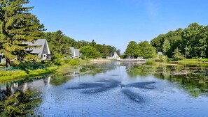 Unclassified image, 5 of 18, button