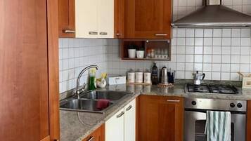 Een koelkast met diepvriezer, een oven, een kookplaat, een vaatwasser