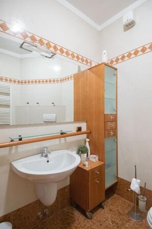 Chuveiro, secador de cabelo, toalhas de banho, sabonete