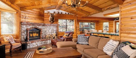 Smart TV, fireplace, books