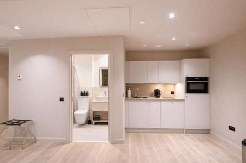 Executive Studio | Private kitchen | Mini-fridge, microwave, oven, stovetop