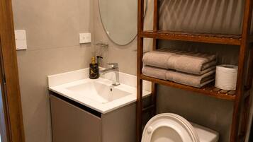 Shower, towels, soap, toilet paper