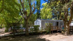 A mobile home with a porch, surrounded by trees and a gravel driveway. - Cosy mobile home with terrace - 5 guests (Montblanc)