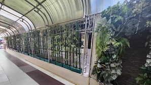 A covered walkway with a row of potted plants and a wall of foliage. - New VC Hotel Bangkok (Bangkok)