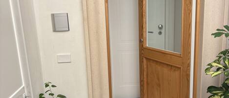 A hallway with a wooden door, a white door in the background, a potted plant, and a green mat at the entrance.